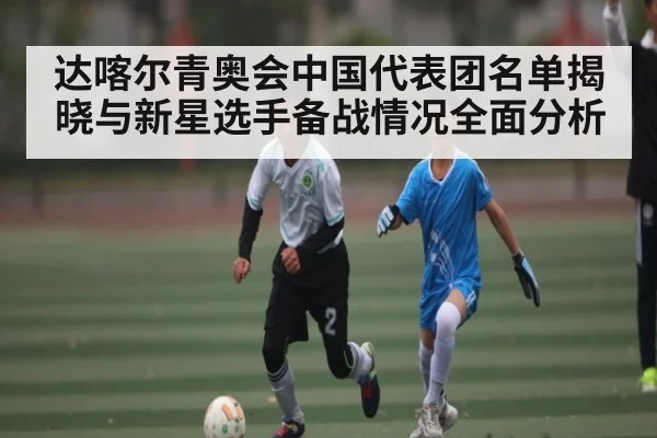 达喀尔青奥会中国代表团名单揭晓与新星选手备战情况全面分析